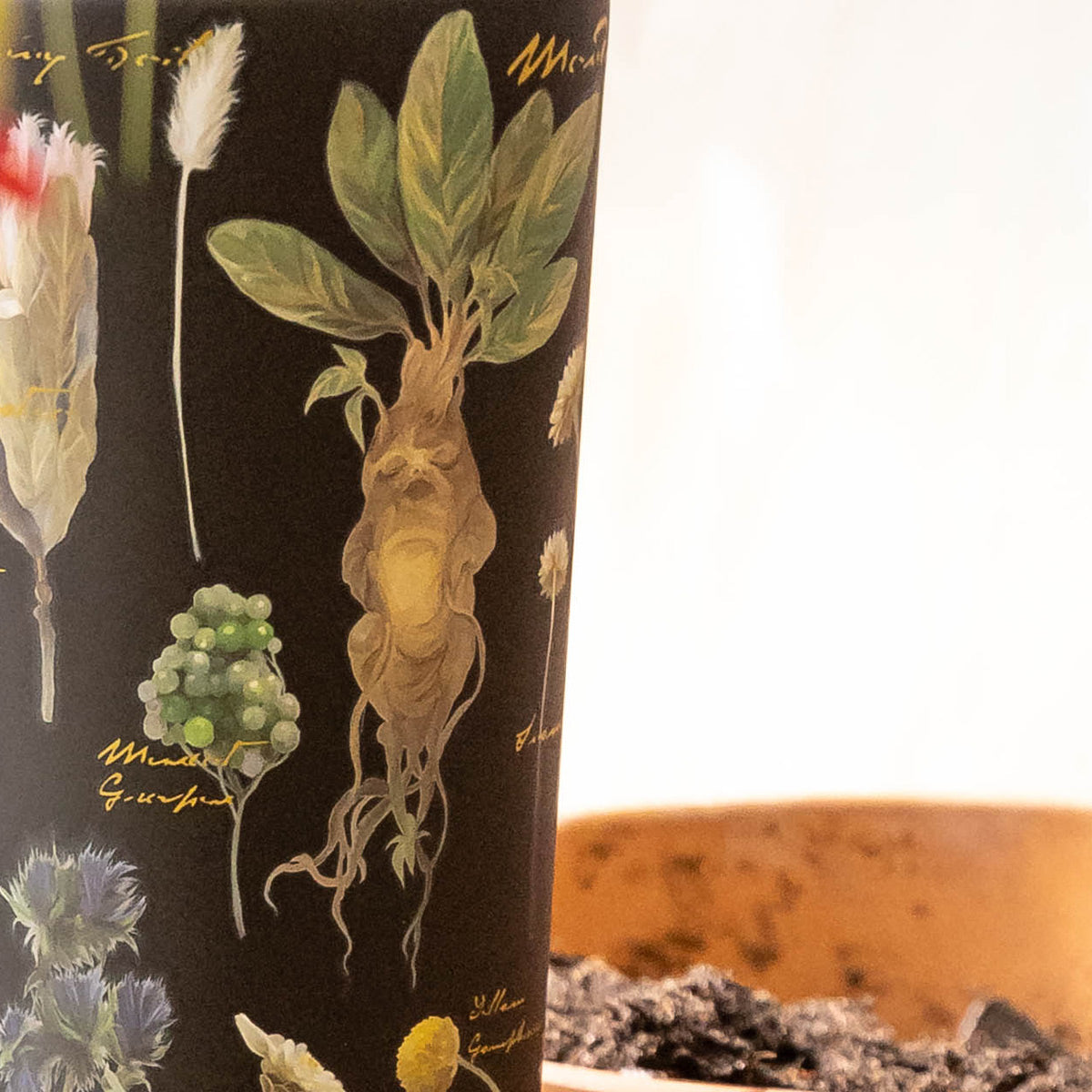 harry-potter-cold-cup-d9 Herbology-3.jpg